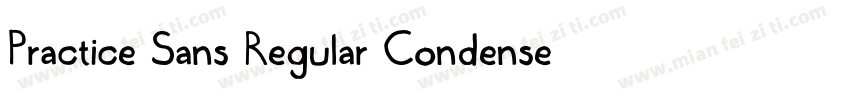 Practice Sans Regular Condensed字体转换